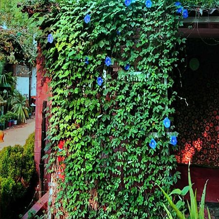 Panchobon Art Resort Shānti Niketan Exterior foto